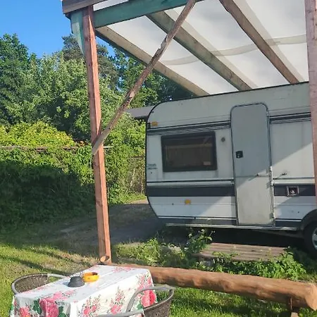 Campsite Summer Bungalo Trailer *